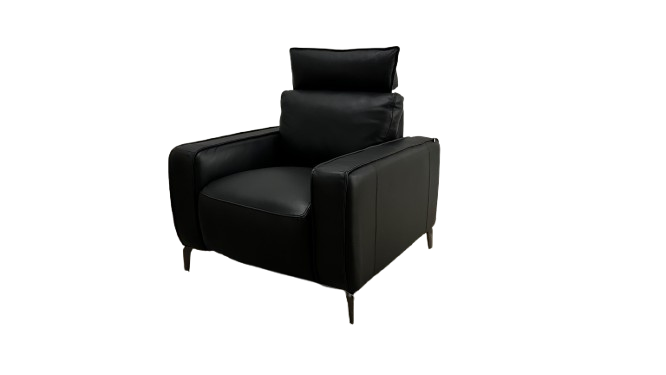 DANVER LEATHER POWER RECLINER (black)