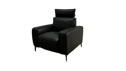 DANVER LEATHER POWER RECLINER (black)