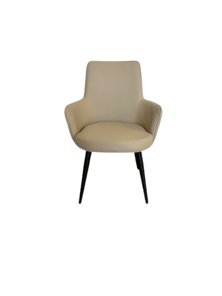 SOPHIE MODERN DINING CHAIR